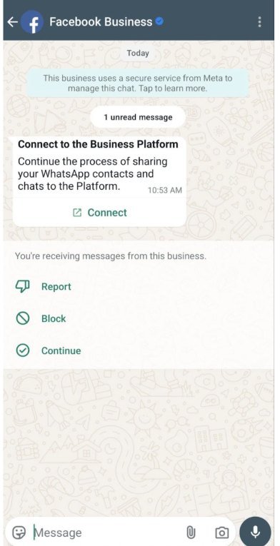 Aplikasi WhatsApp Business: pesan dari Facebook Business berjudul Connect to the Business Platform dengan tombol Connect